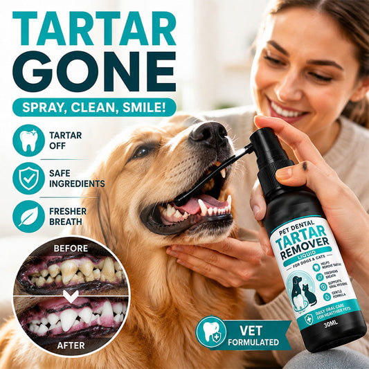 🐶 Friss lehelet, tisztább fogak! Kíméletes fogtisztító spray kutyáknak és macskáknak